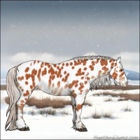 Horse Color:White Spotted Silver Brown Sabino Appaloosa 