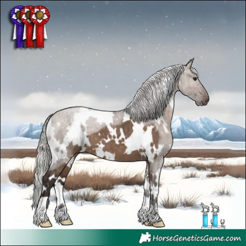 Horse Color:White Spotted Silver Brown Dun 