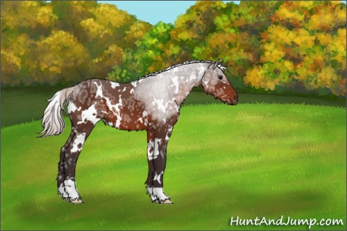 Horse Color:White Spotted Silver Brown Ice Sabino 