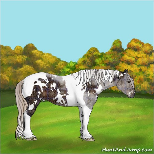 Horse Color:Plaid  White Spotted Silver Black Ice Tobiano 