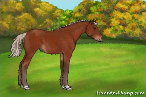 Horse Color:Silver Brown 