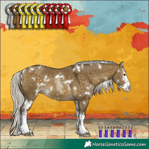 Horse Color:White Spotted Silver Buckskin Dun Sabino Splash 