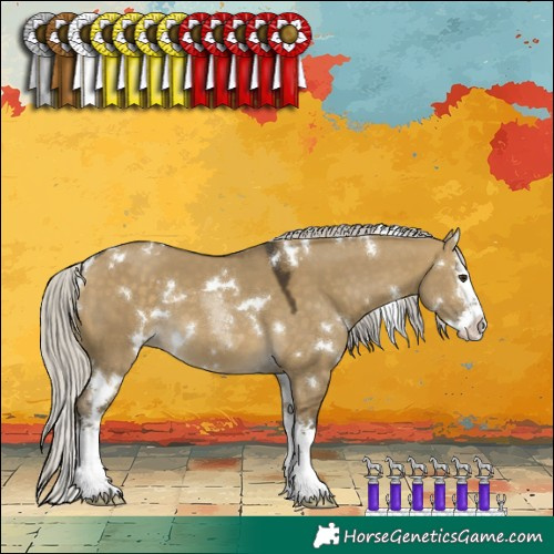 Horse Color:White Spotted Silver Buckskin Dun Sabino Splash 