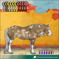 Horse Color:White Spotted Silver Buckskin Dun Sabino Splash 