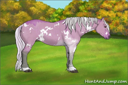 Horse Color:Watercolor White Spotted Silver Buckskin Dun 