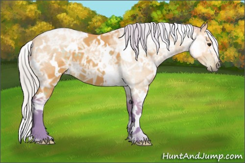 Horse Color:Watercolor White Spotted Silver Buckskin Ice 