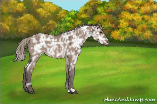 Horse Color:White Spotted Silver Brown Ice Dun 