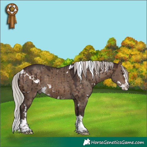 Horse Color:White Spotted Silver Brown Dun Splash Brindle 