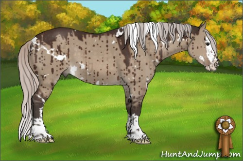 Horse Color:White Spotted Silver Brown Dun Splash Brindle 