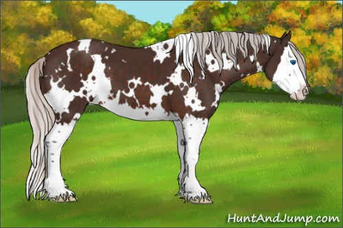 Horse Color:White Spotted Silver Brown Splash 