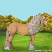 Horse Color:Palomino Tobiano Frame