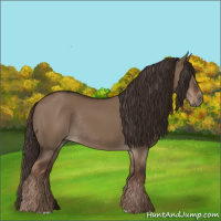 Horse Color:Liver Red Dun Rabicano 