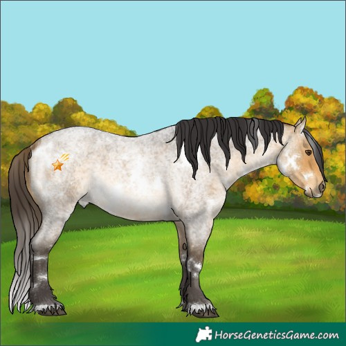 Horse Color:White Spotted Buckskin Roan Mushroom 