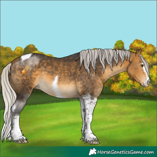 Horse Color:Silver Buckskin Mushroom Sabino Tobiano