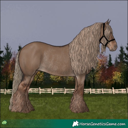 Horse Color:Liver Red Dun Rabicano 