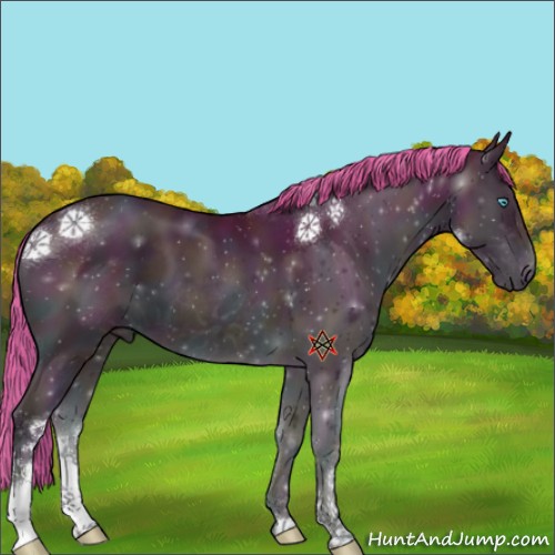 Horse Color:Platinum Watercolor Midnight Buckskin Pearl Onyx Sabino Appaloosa 