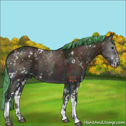 Horse Color:Platinum Watercolor Midnight Chocolate Brown Onyx Sabino Appaloosa 