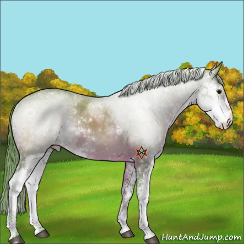 Horse Color:Platinum Watercolor Chocolate Brown Dun Sabino Appaloosa 
