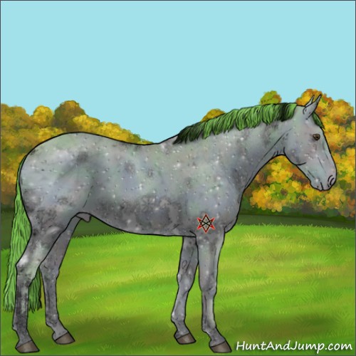 Horse Color:ERROR: UNKNOWN ANOMALY