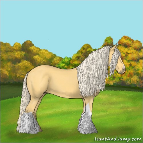 Horse Color:Palomino