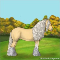 Horse Color:Palomino 