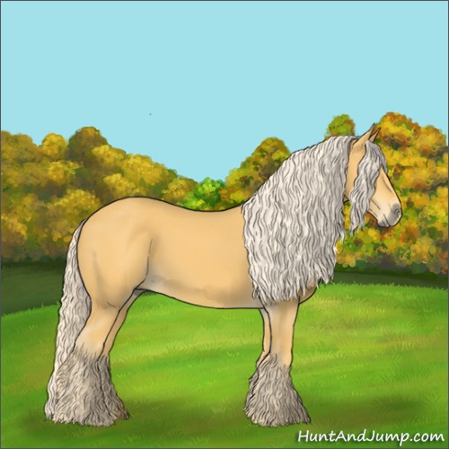 Horse Color:Palomino 