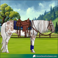 Horse Color:White Spotted Silver Black Ice