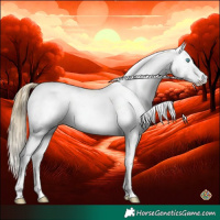 Horse Color:Buckskin Pearl Sabino Splash Rabicano 