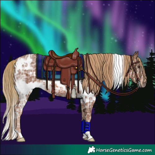 Horse Color:White Spotted Chestnut Ice Rabicano 