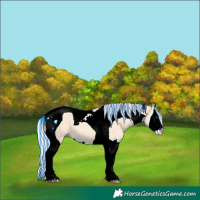 Horse Color:Painted Silver Amber Champagne Dun Splash Tobiano 