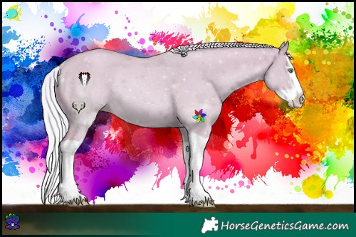 Horse Color:Watercolor Silver Classic Champagne Dun Splash Rabicano 