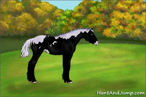Horse Color:Watercolor Silver Classic Champagne Dun Splash 