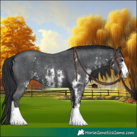 Horse Color:Black Sabino 