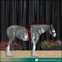 Horse Color:Black Sabino 