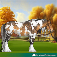 Horse Color:White Spotted Buckskin 