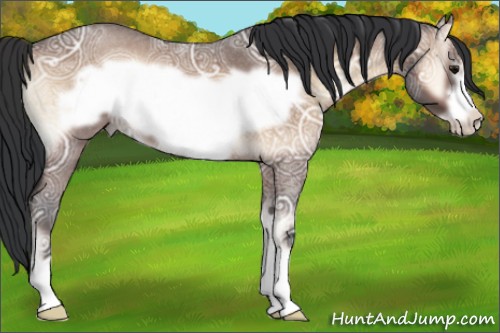 Horse Color:Brown Ice Roan Onyx Frame 