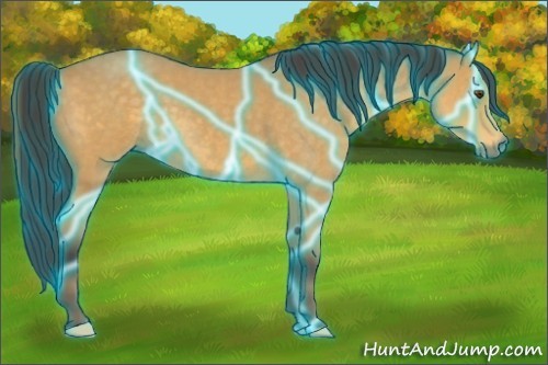 Horse Color:Thunderstruck Buckskin Roan 