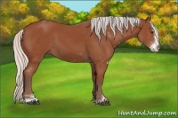 Horse Color:Silver Bay Sabino Rabicano 