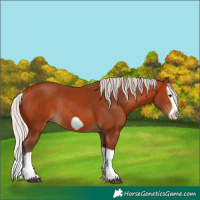 Horse Color:Silver Bay Splash Frame Rabicano 