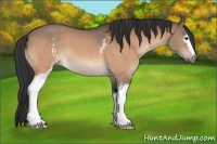 Horse Color:White Spotted Brown Dun 