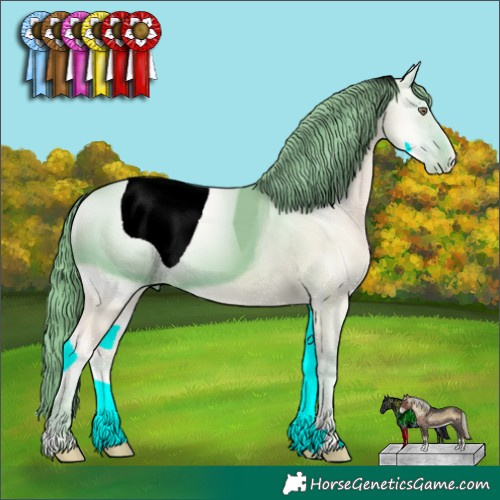 Horse Color:ERROR: UNKNOWN ANOMALY