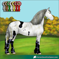 Horse Color:ERROR: UNKNOWN ANOMALY