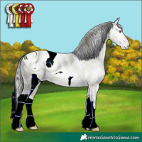 Horse Color:ERROR: UNKNOWN ANOMALY