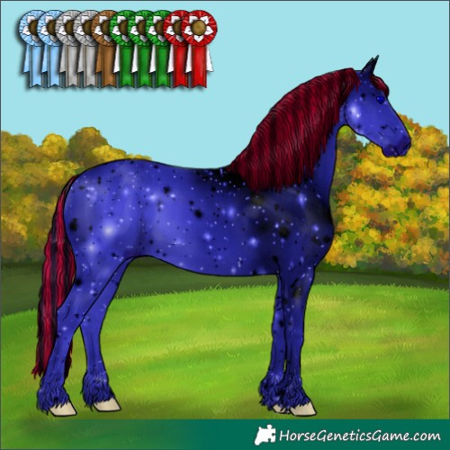 Horse Color:ERROR: UNKNOWN ANOMALY