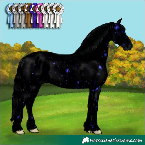 Horse Color:ERROR: UNKNOWN ANOMALY
