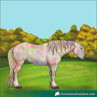 Horse Color:Nacre Red Dun Tobiano