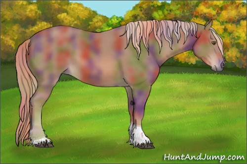 Horse Color:Nacre Chestnut Tobiano