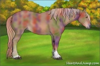 Horse Color:Nacre Chestnut Tobiano 