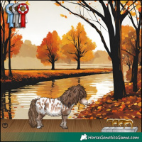 Horse Color:Brown Snowdrop Near Leopard 