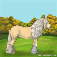 Horse Color:Palomino